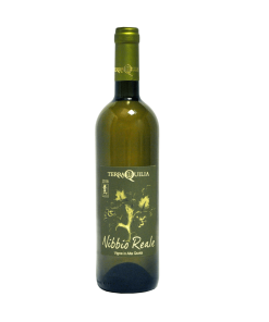 Terraquilia – Nibbio Reale 2020